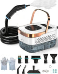 TechVizrs Myjka parowa, 2500 W, 1250 ML, 4 bar – Szary, Przenośne, 6 prędkości, do domu i samochodu – Czyściciel 1250 ML